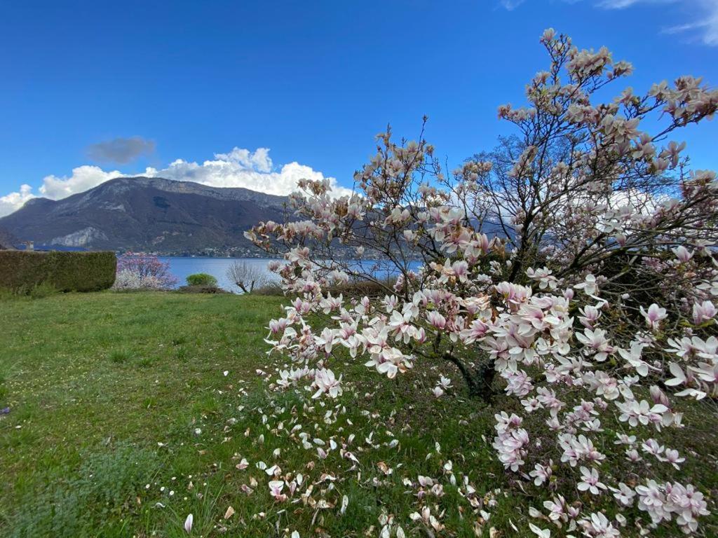 La Roseliere Sud, Vue Lac & Jardin Севрие Экстерьер фото